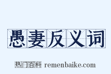愚妻反义词是什么意思的图片